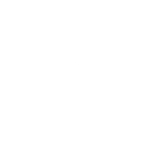 Logo Youtube